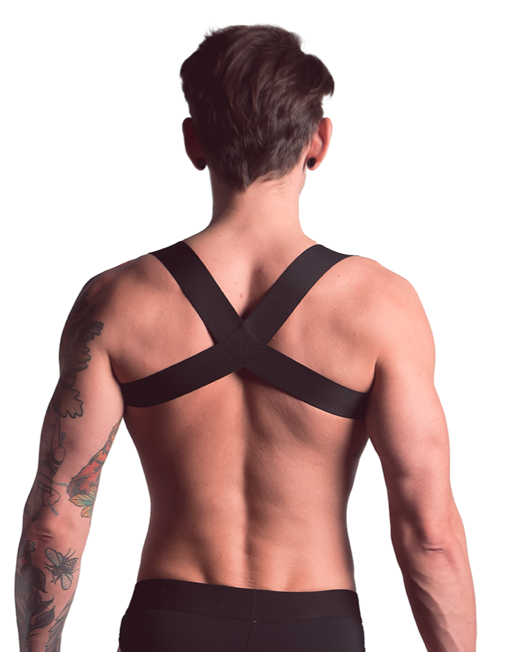 TASTE | Signature Harness Black